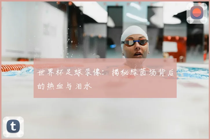 世界杯足球录像:揭秘绿茵场背后的热血与泪水