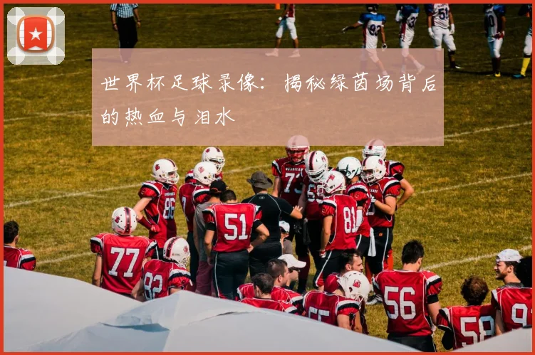 世界杯足球录像:揭秘绿茵场背后的热血与泪水