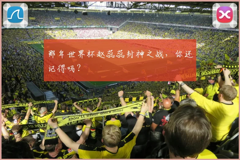 那年世界杯赵蕊蕊封神之战，你还记得吗？